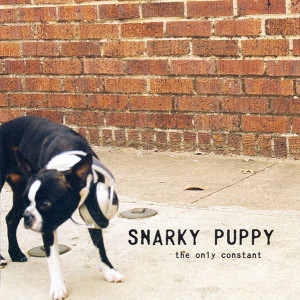 SnarkyPuppy-theonlyconstant